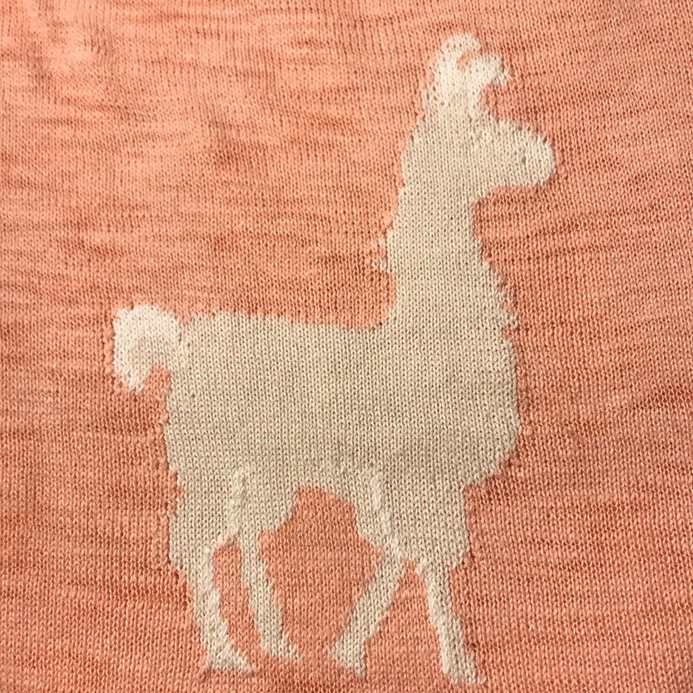 NEW CUTE Llama short sleeve sweater top from Target  🦙
Size small - Picture 5 of 8